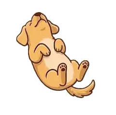 きなこ